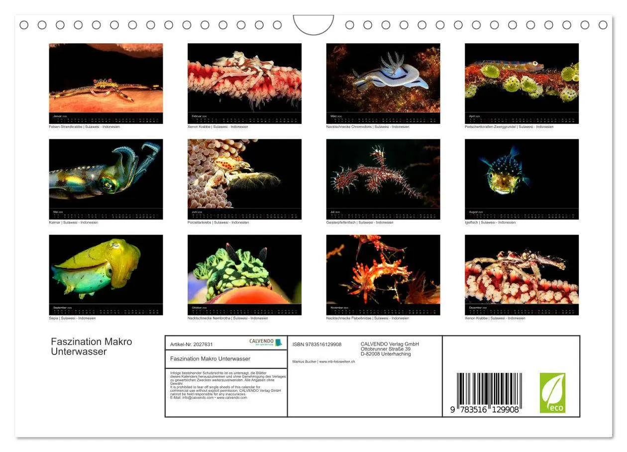 Bild: 9783516129908 | Faszination Makro Unterwasser (Wandkalender 2026 DIN A4 quer),...
