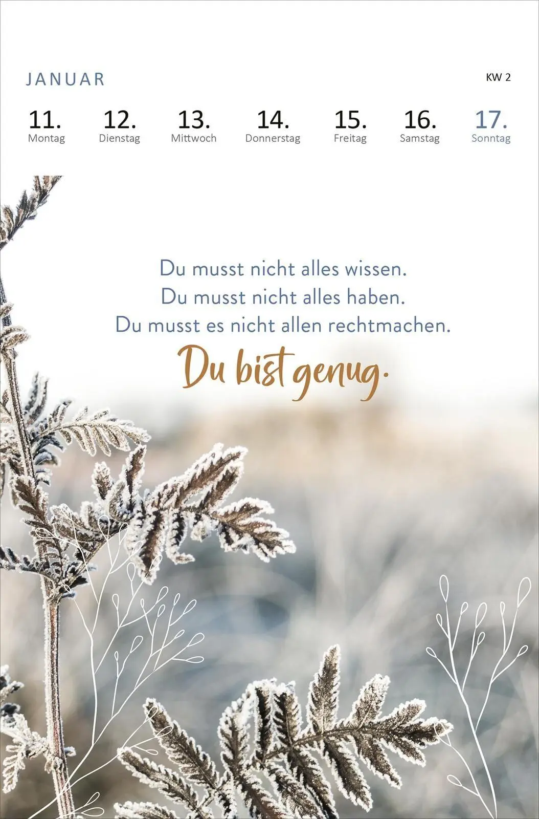 Bild: 4014489140009 | Wochenkalender 365 Tage Gelassenheit 2027 | Kalender | 27 S. | Deutsch