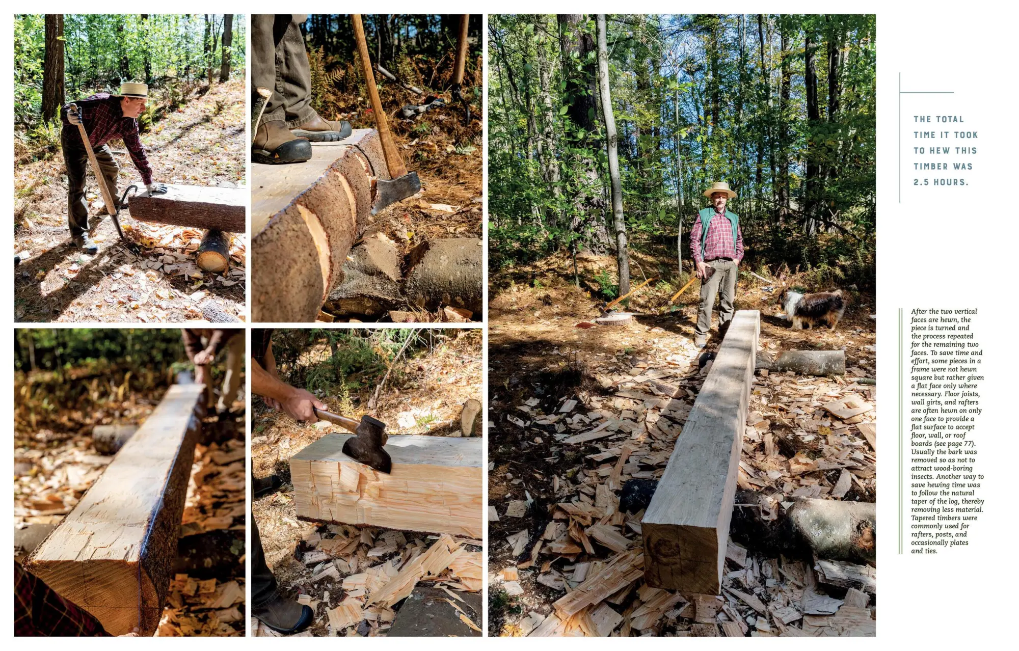Bild: 9781635860009 | Hand Hewn | Jack A Sobon | Buch | Gebunden | Englisch | 2019
