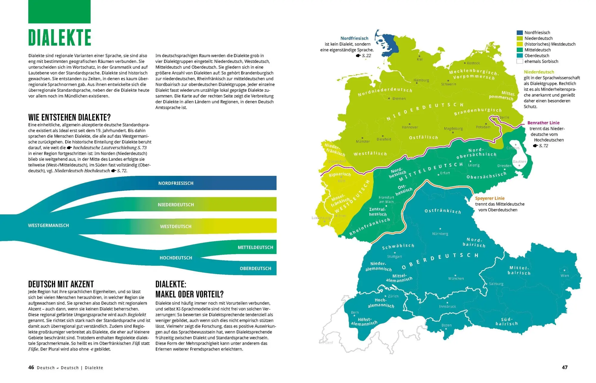 Bild: 9783411750009 | Das große Buch der deutschen Sprache | Andrea Weller-Essers | Buch