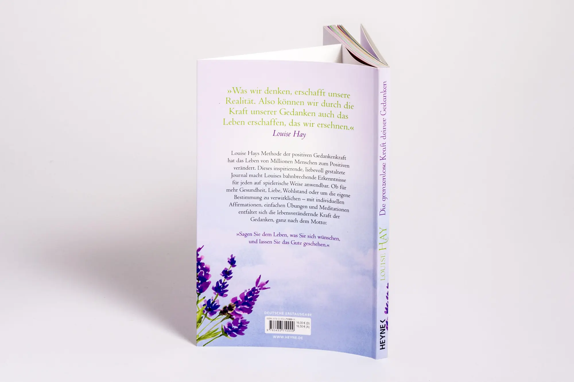 Bild: 9783453710009 | Die grenzenlose Kraft deiner Gedanken. Das Affirmations-Journal | Hay