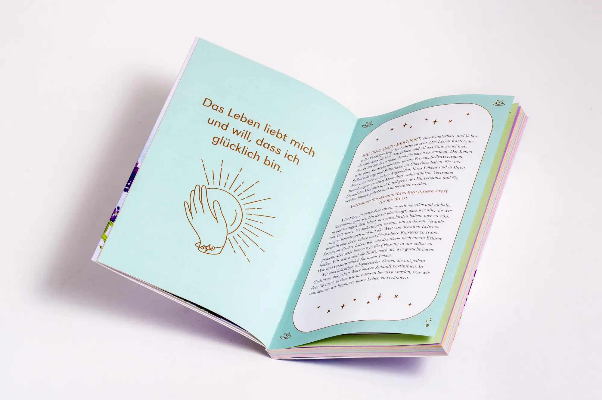 Bild: 9783453710009 | Die grenzenlose Kraft deiner Gedanken. Das Affirmations-Journal | Hay