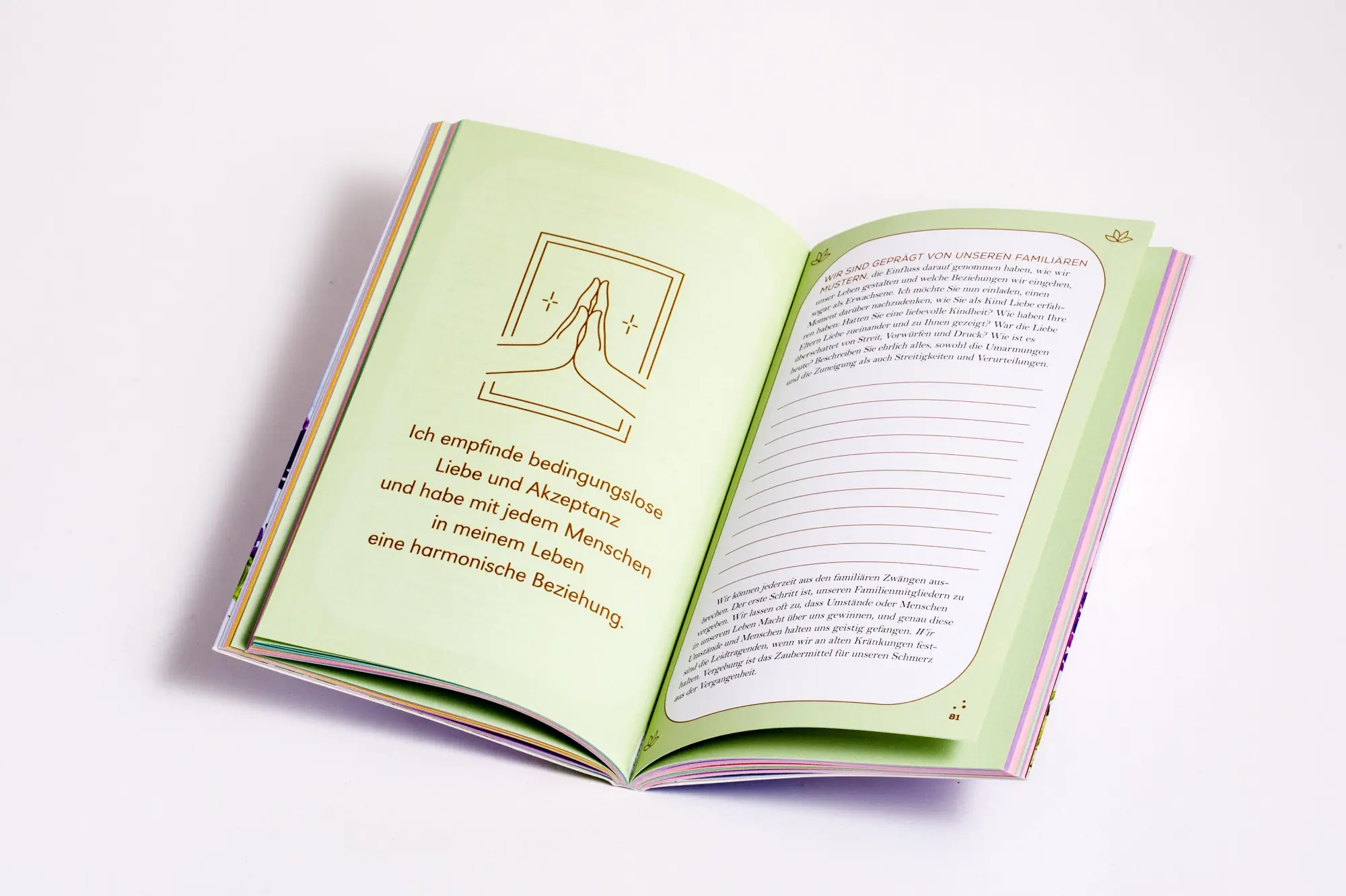Bild: 9783453710009 | Die grenzenlose Kraft deiner Gedanken. Das Affirmations-Journal | Hay