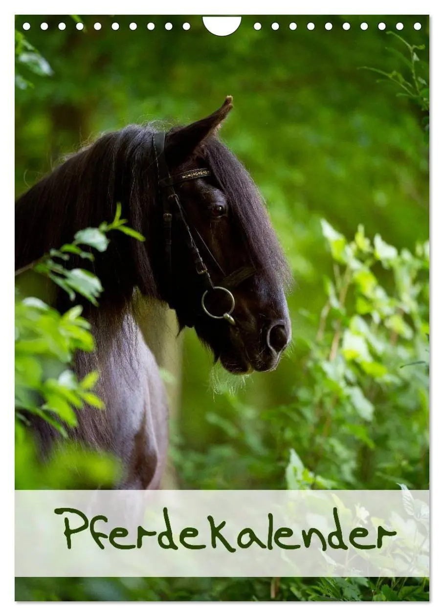 Cover: 9783594150009 | Pferdekalender (Wandkalender 2027 DIN A4 hoch), CALVENDO...
