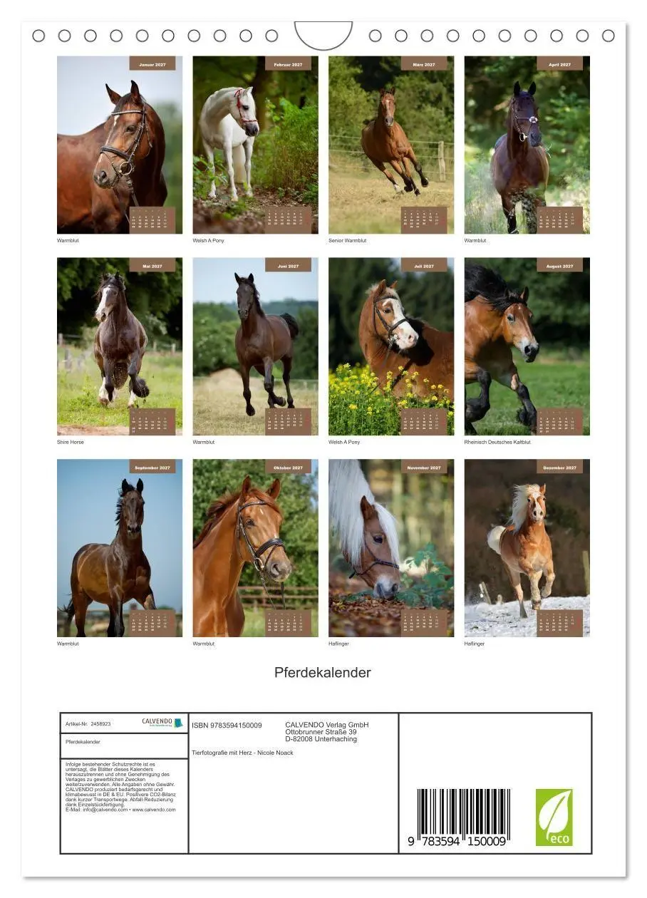 Bild: 9783594150009 | Pferdekalender (Wandkalender 2027 DIN A4 hoch), CALVENDO...
