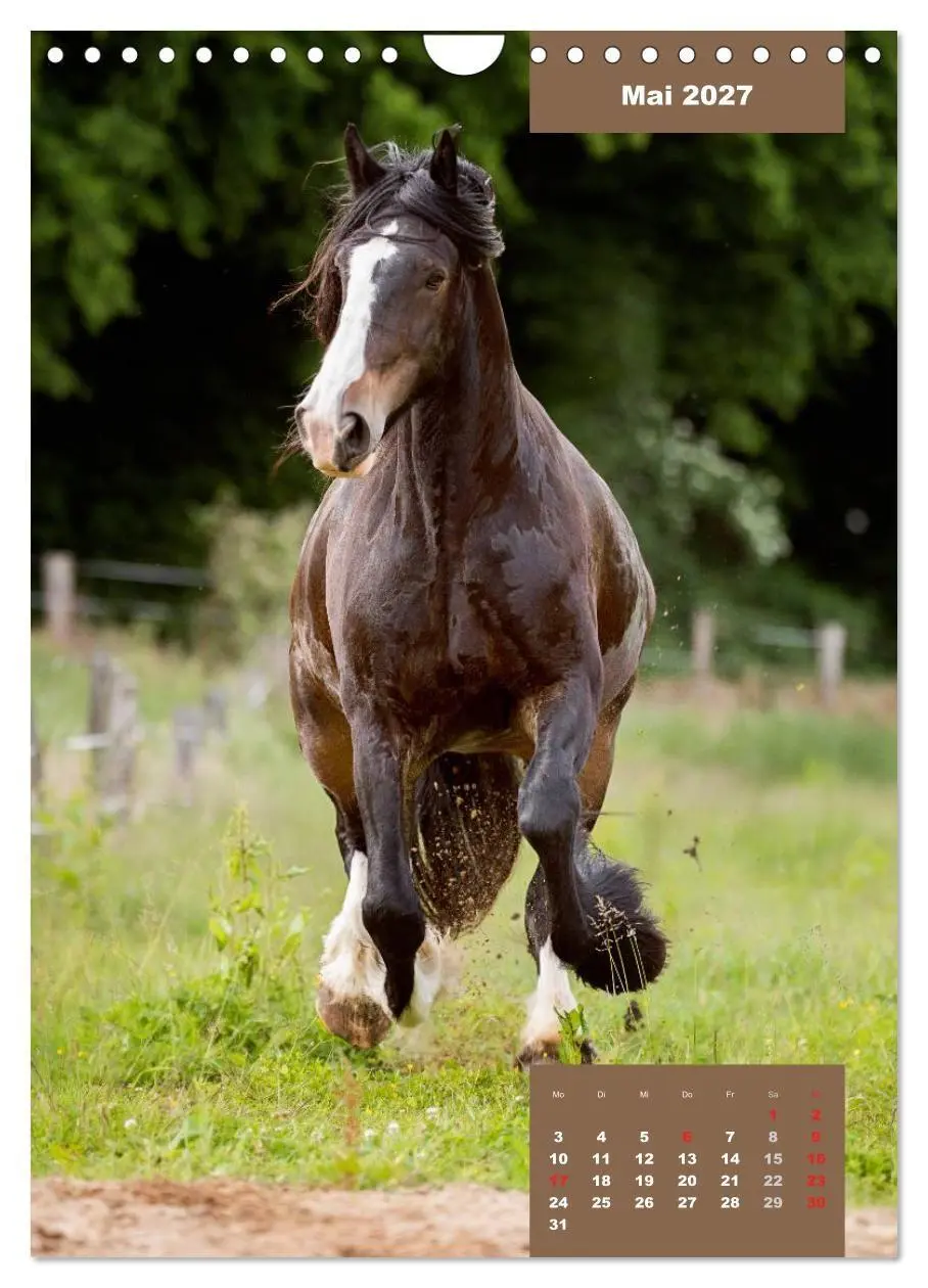 Bild: 9783594150009 | Pferdekalender (Wandkalender 2027 DIN A4 hoch), CALVENDO...