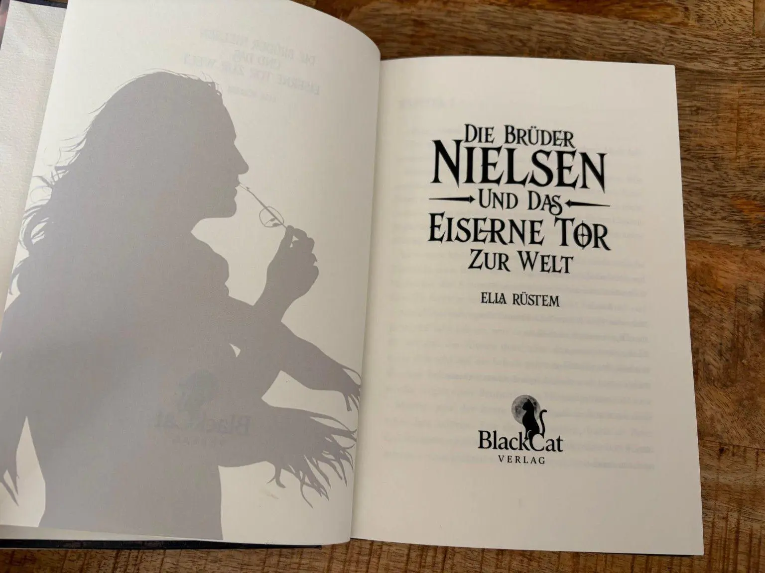 Bild: 9783693390009 | Die Brüder Nielsen | Das eiserne Tor zur Welt | Ella Rüstem | Buch