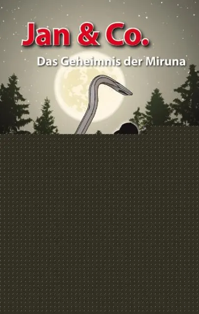 Cover: 9783037830109 | Jan &amp; Co - Das Geheimnis der Miruna [2] | Jugendkrimi | Hollenstein