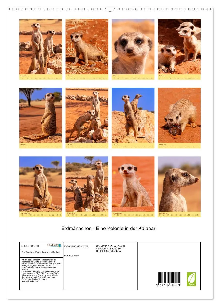 Bild: 9783516300109 | Erdmännchen - Eine Kolonie in der Kalahari (hochwertiger Premium...
