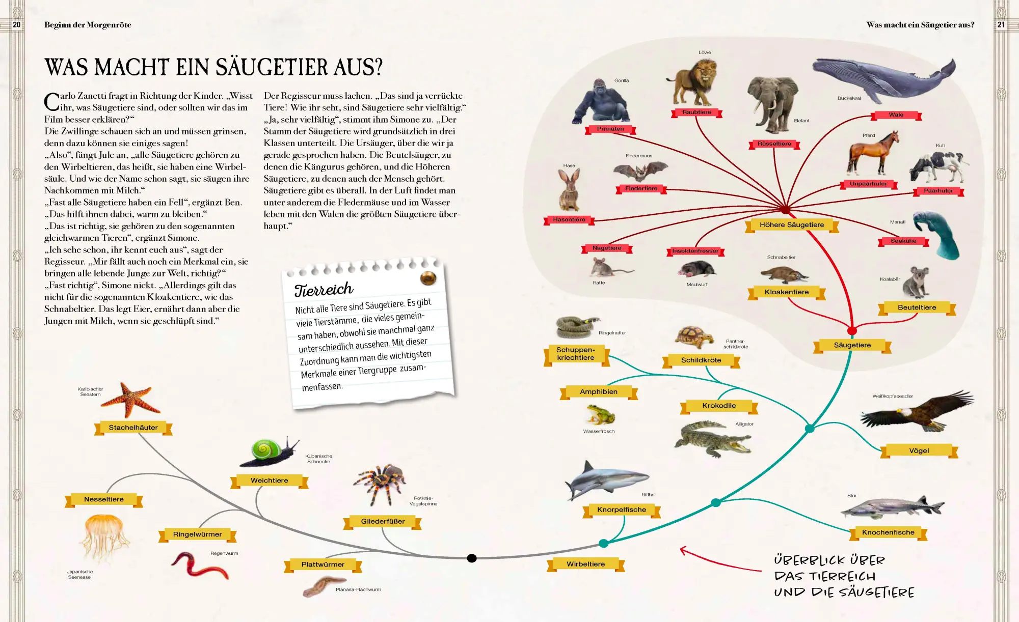 Bild: 9783968080109 | Verborgene Welt der Megafauna | Babette Pribbenow | Buch | 96 S.