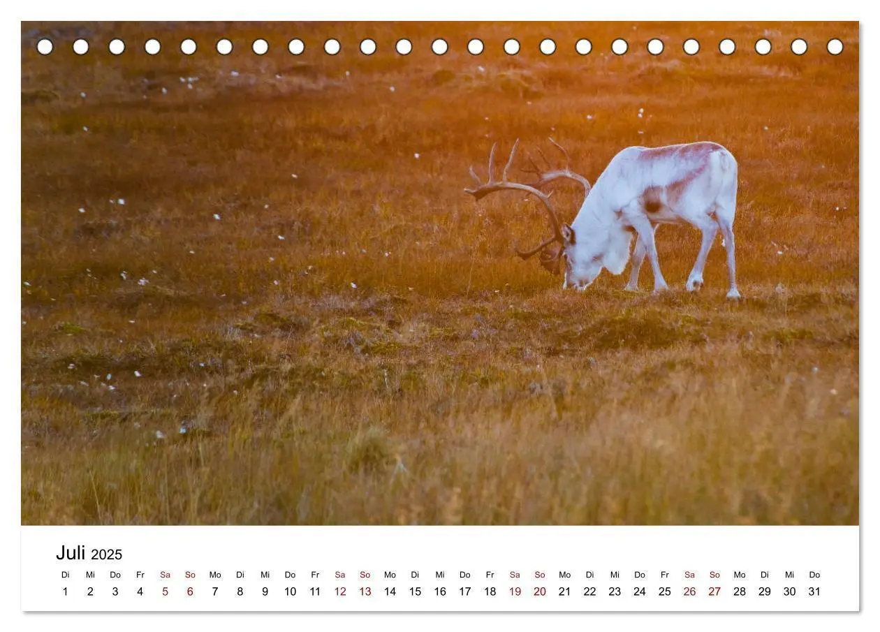 Bild: 9783435420209 | Skandinavien - Hoch im Norden (Tischkalender 2025 DIN A5 quer),...
