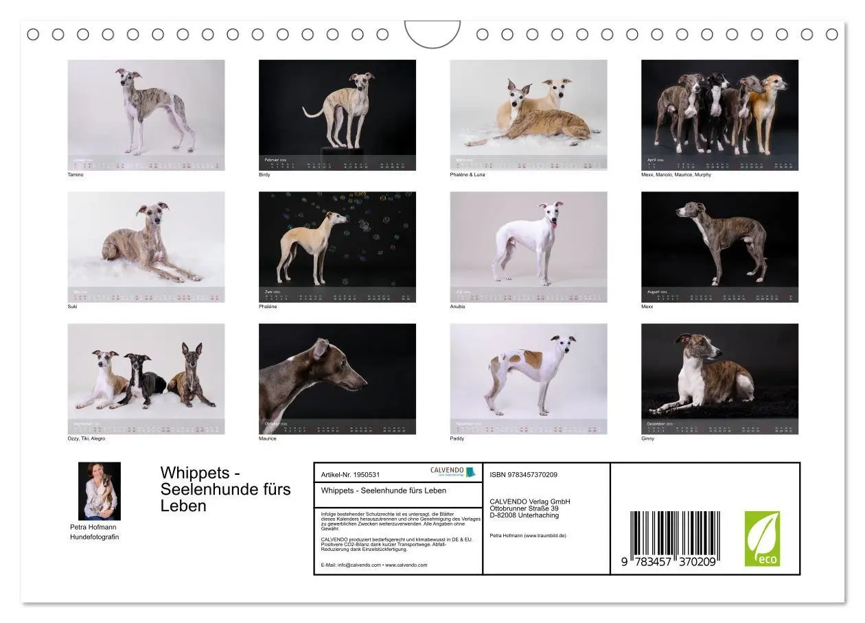 Bild: 9783457370209 | Whippets - Seelenhunde fürs Leben (Wandkalender 2026 DIN A4 quer),...