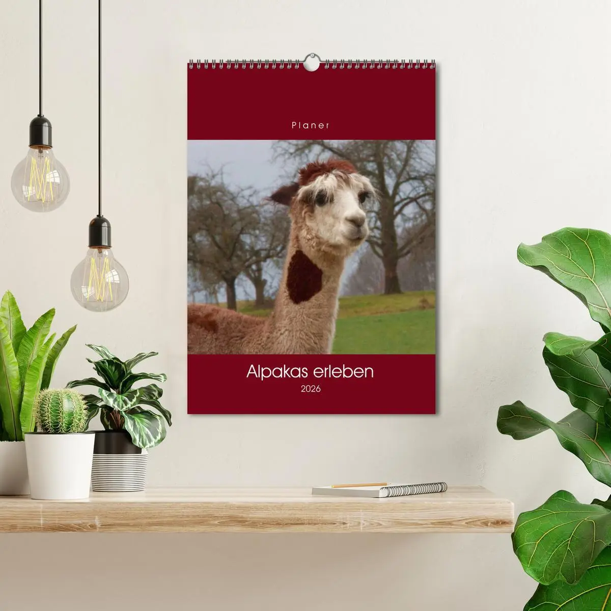 Bild: 9783516390209 | Alpakas erleben (Wandkalender 2026 DIN A3 hoch), CALVENDO...
