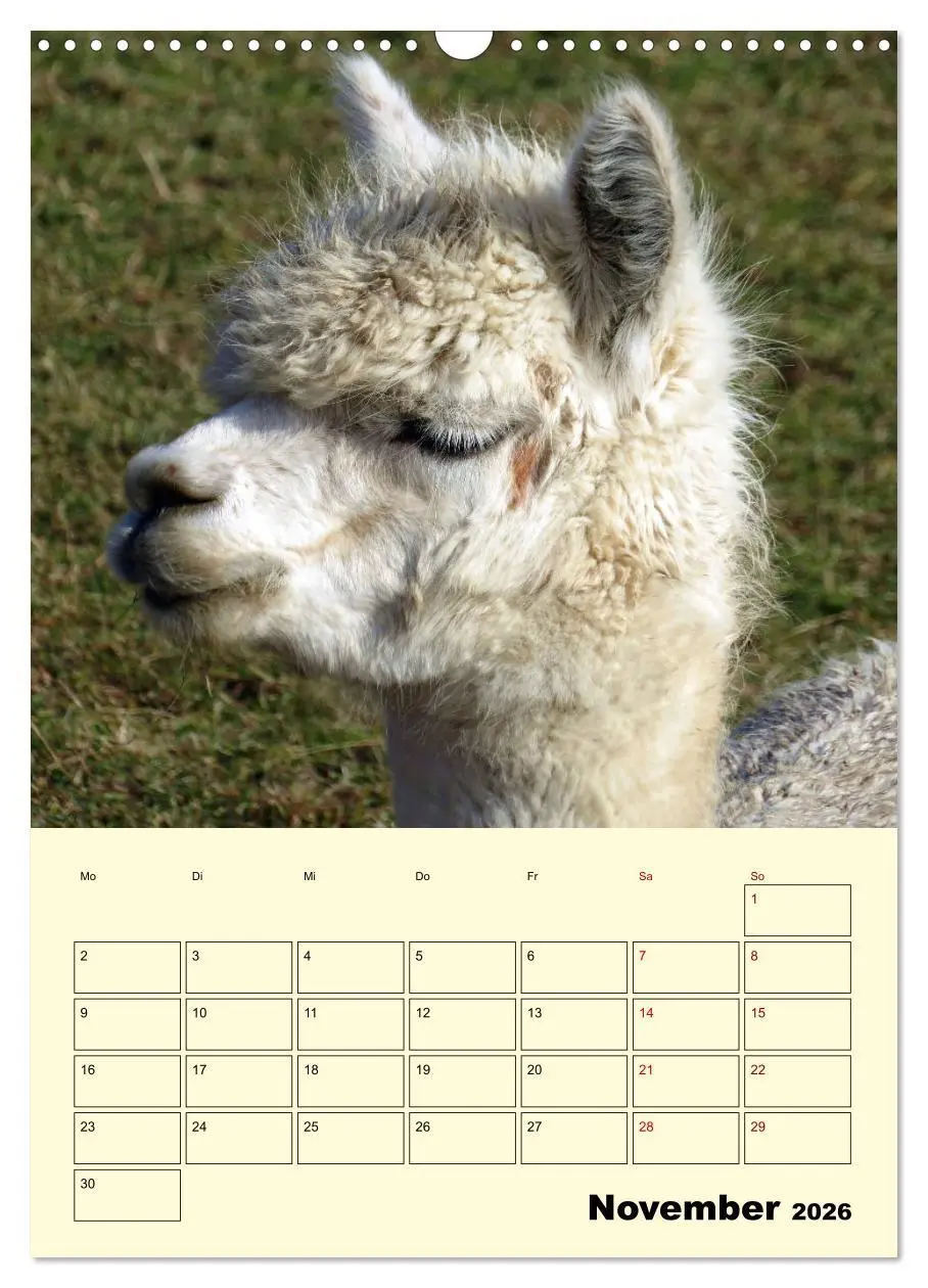 Bild: 9783516390209 | Alpakas erleben (Wandkalender 2026 DIN A3 hoch), CALVENDO...