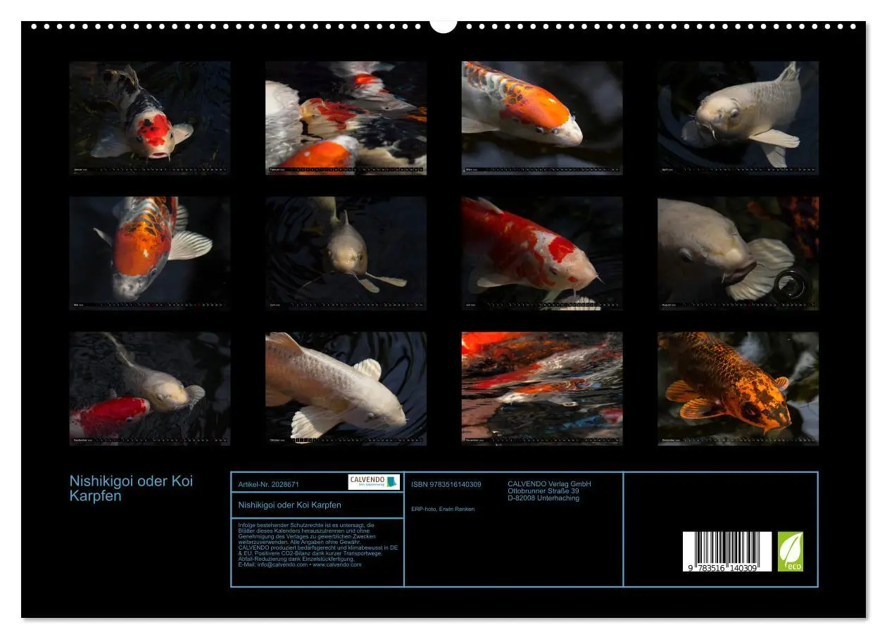 Bild: 9783516140309 | Nishikigoi oder Koi Karpfen (hochwertiger Premium Wandkalender 2026...