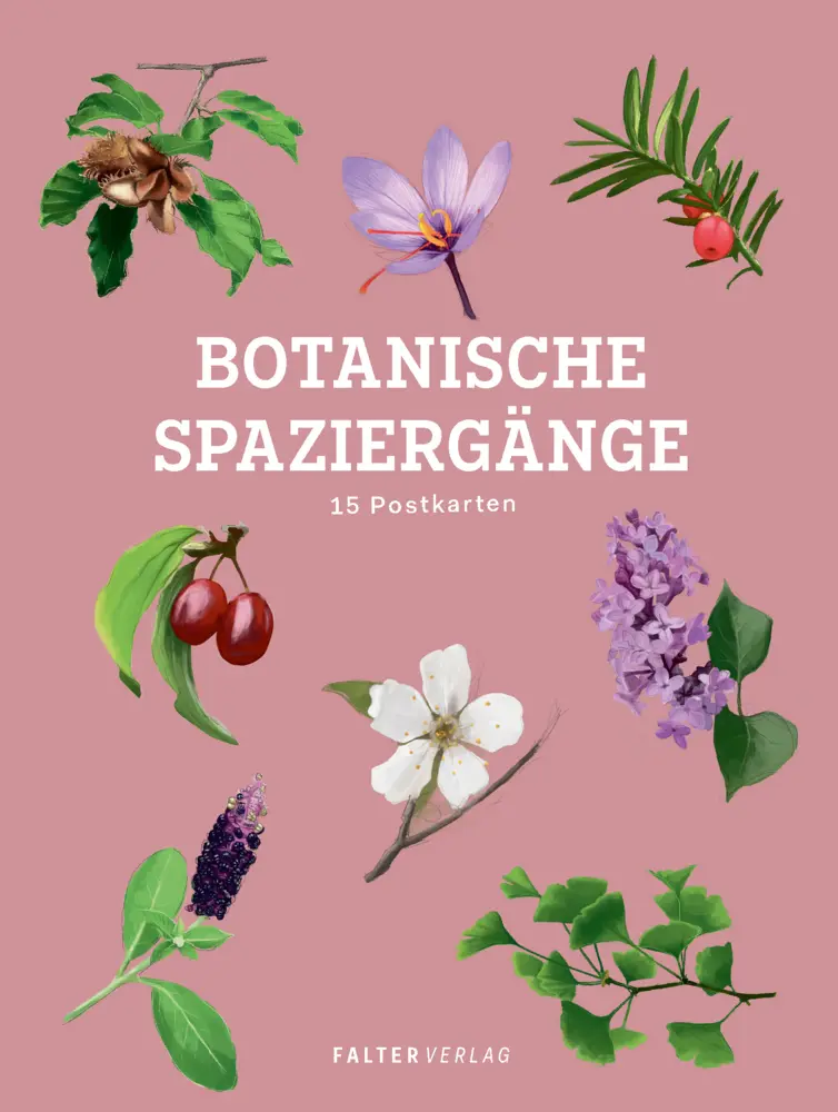 Cover: 9783991660309 | Botanische Spaziergänge - Postkartenbuch | 15 Postkarten | 32 S.