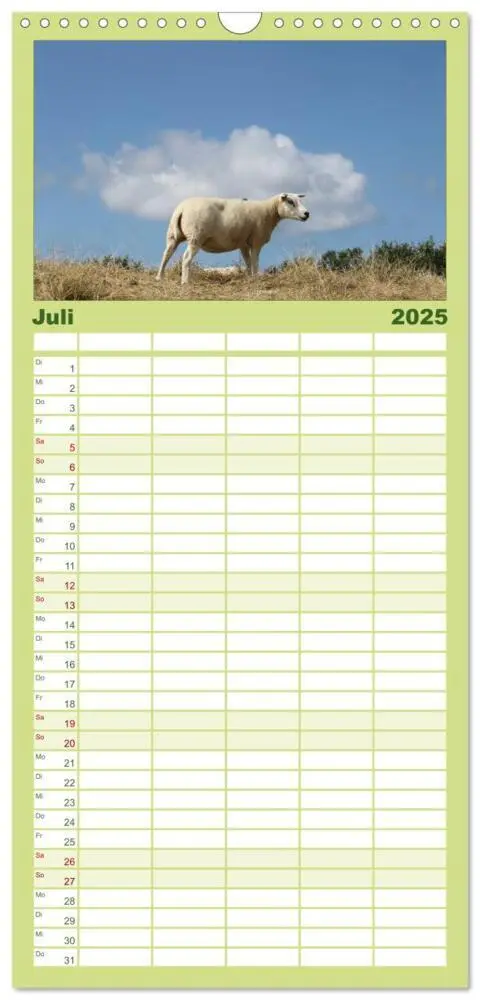 Bild: 9783457110409 | Familienplaner 2025 - Texel, eine Perle Frieslands mit 5 Spalten...
