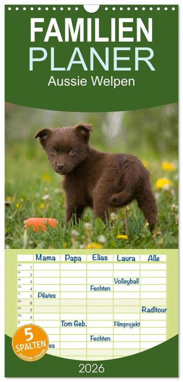 Cover: 9783516510409 | Familienplaner 2026 - Aussie Welpen 2026 mit 5 Spalten...