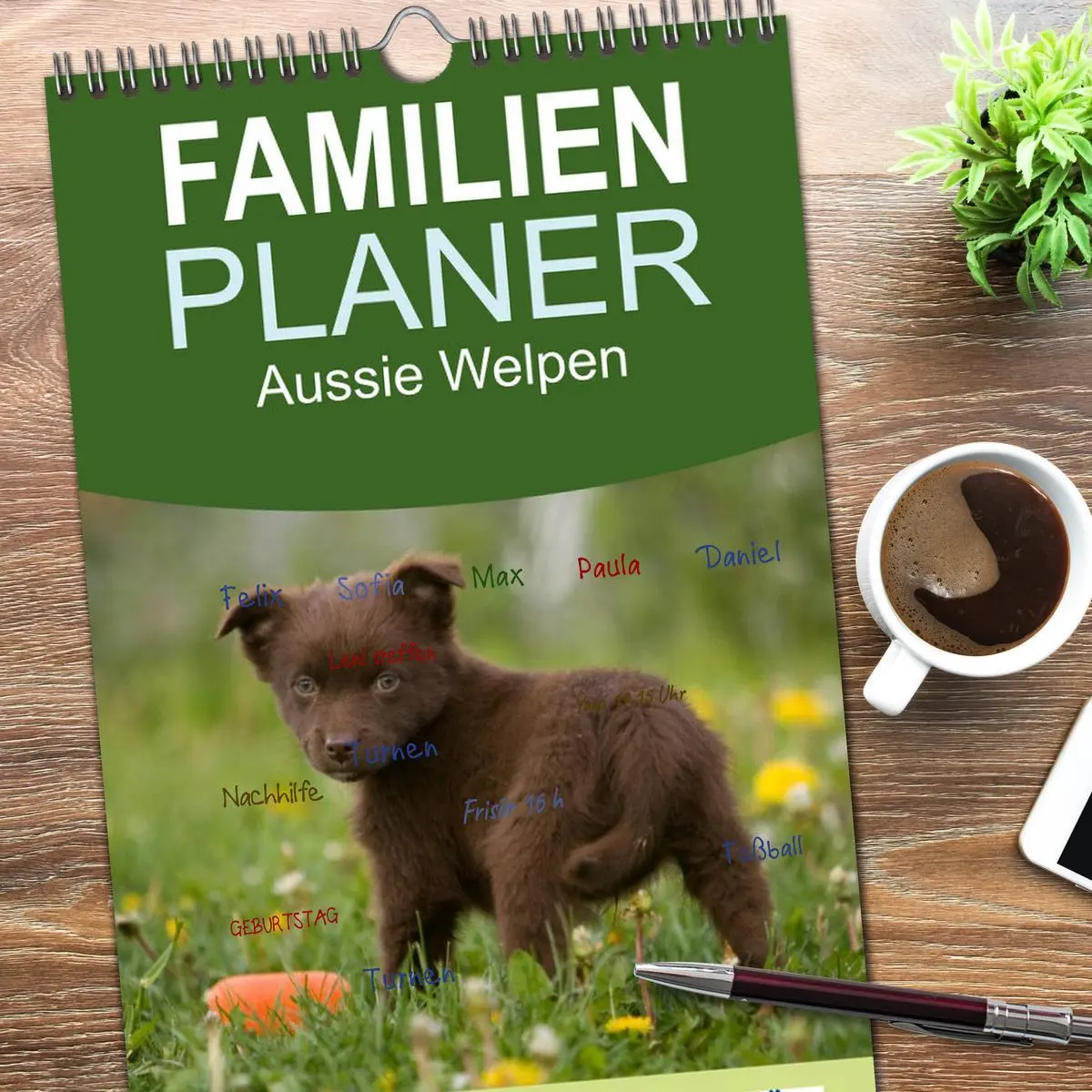 Bild: 9783516510409 | Familienplaner 2026 - Aussie Welpen 2026 mit 5 Spalten...
