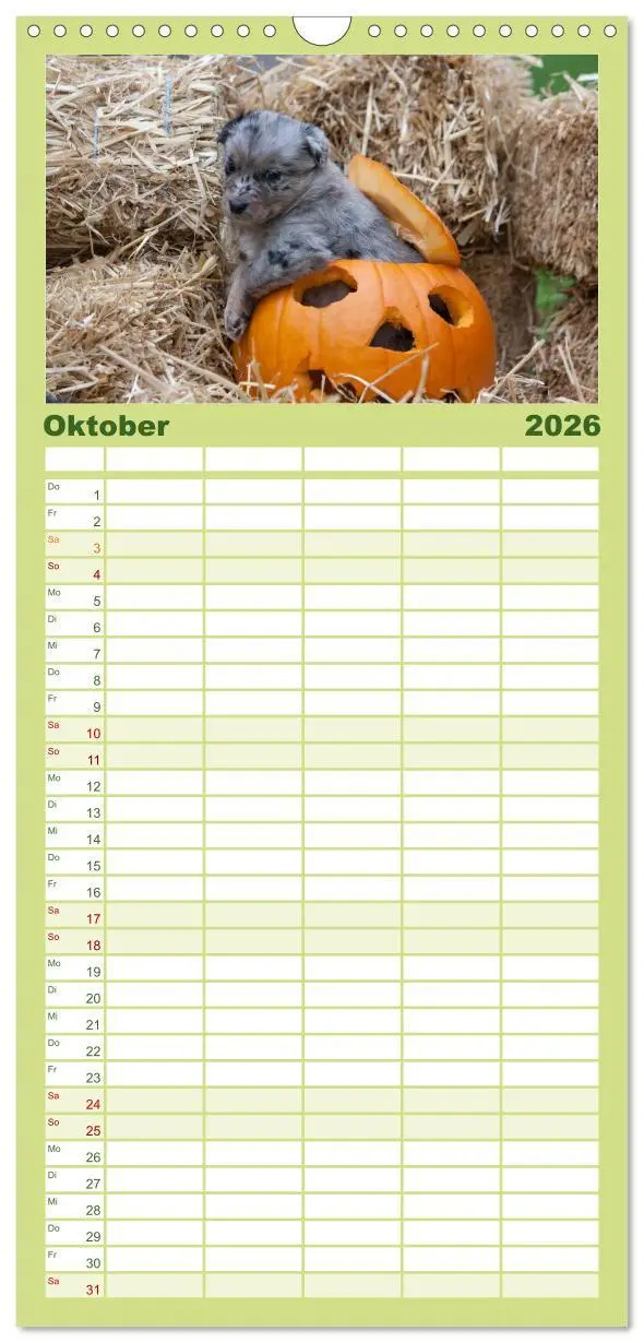 Bild: 9783516510409 | Familienplaner 2026 - Aussie Welpen 2026 mit 5 Spalten...