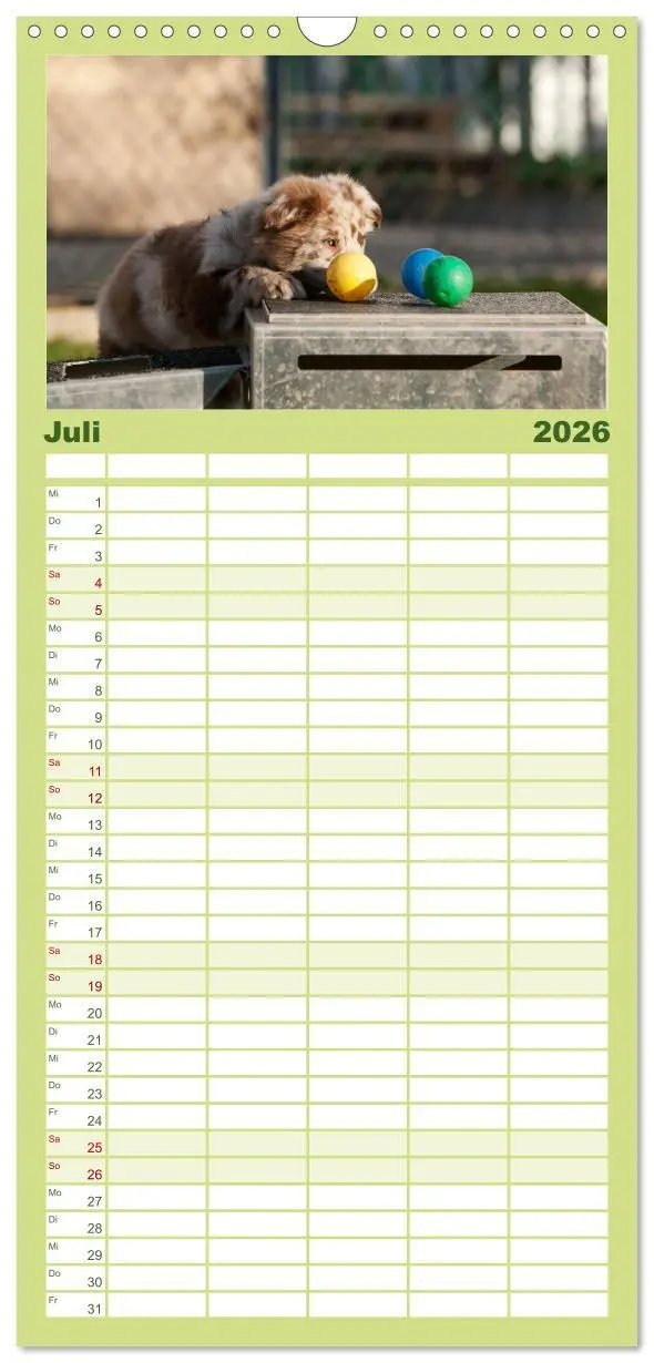 Bild: 9783516510409 | Familienplaner 2026 - Aussie Welpen 2026 mit 5 Spalten...