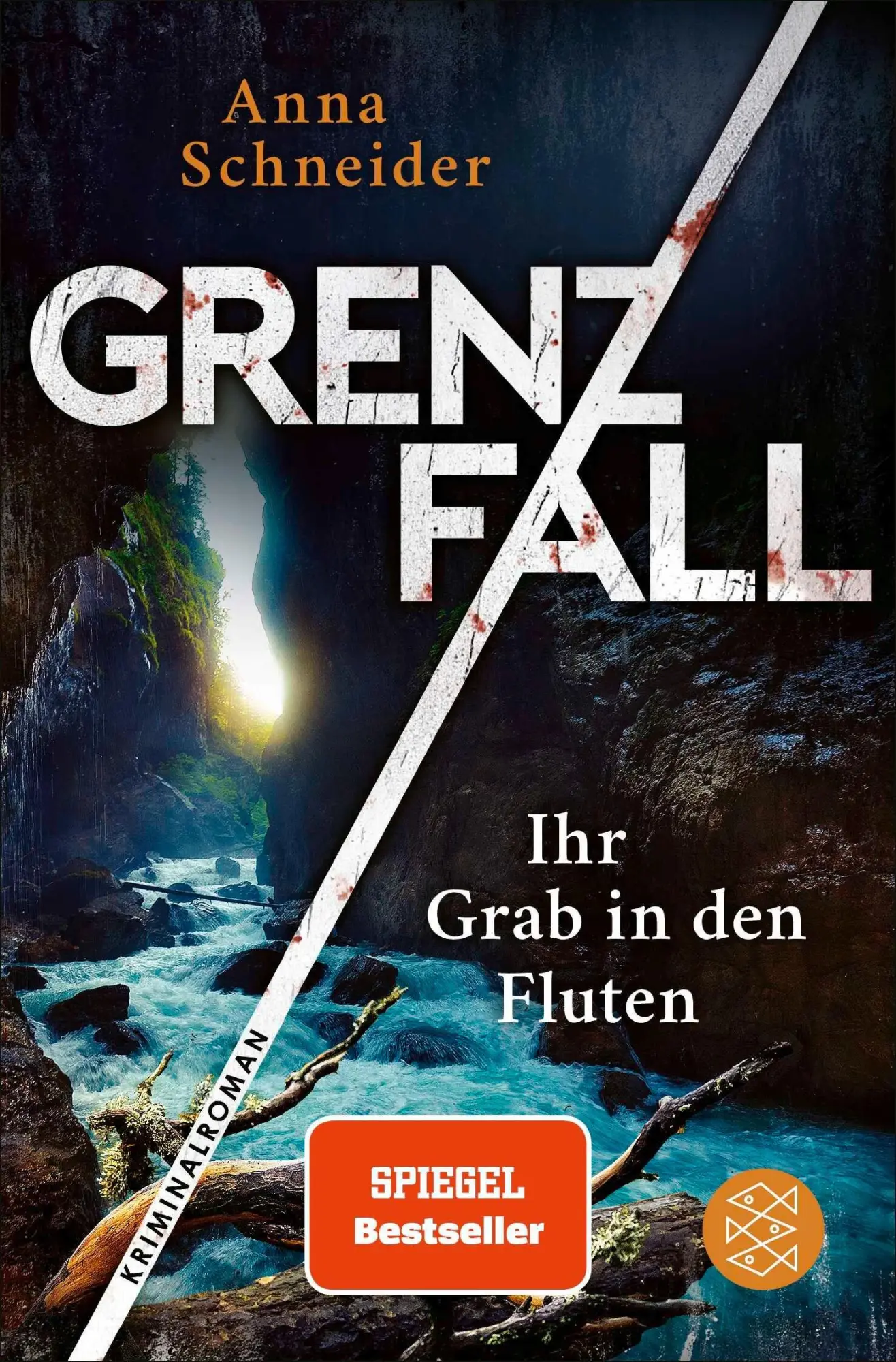 Cover: 9783596710409 | Grenzfall - Ihr Grab in den Fluten | Anna Schneider | Taschenbuch