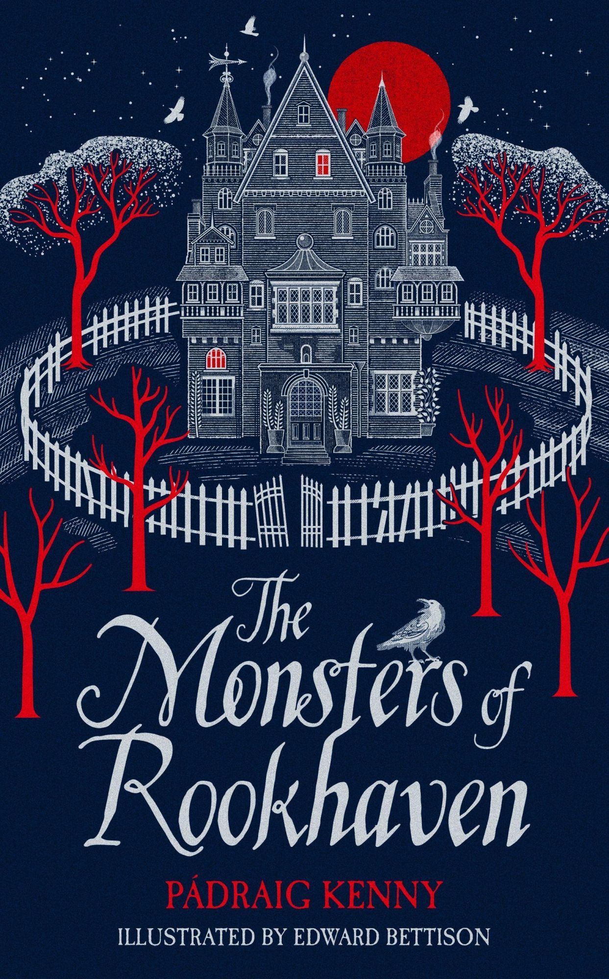 Cover: 9781529050509 | The Monsters of Rookhaven | Padraig Kenny | Buch | Gebunden | Englisch