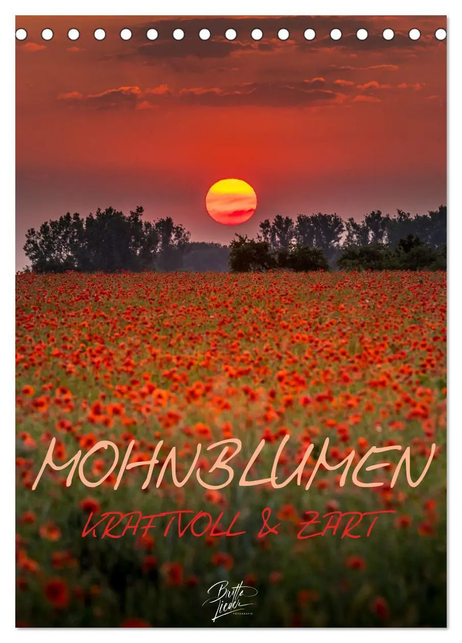 Cover: 9783516360509 | Mohnblumen - kraftvoll und zart (Tischkalender 2026 DIN A5 hoch),...