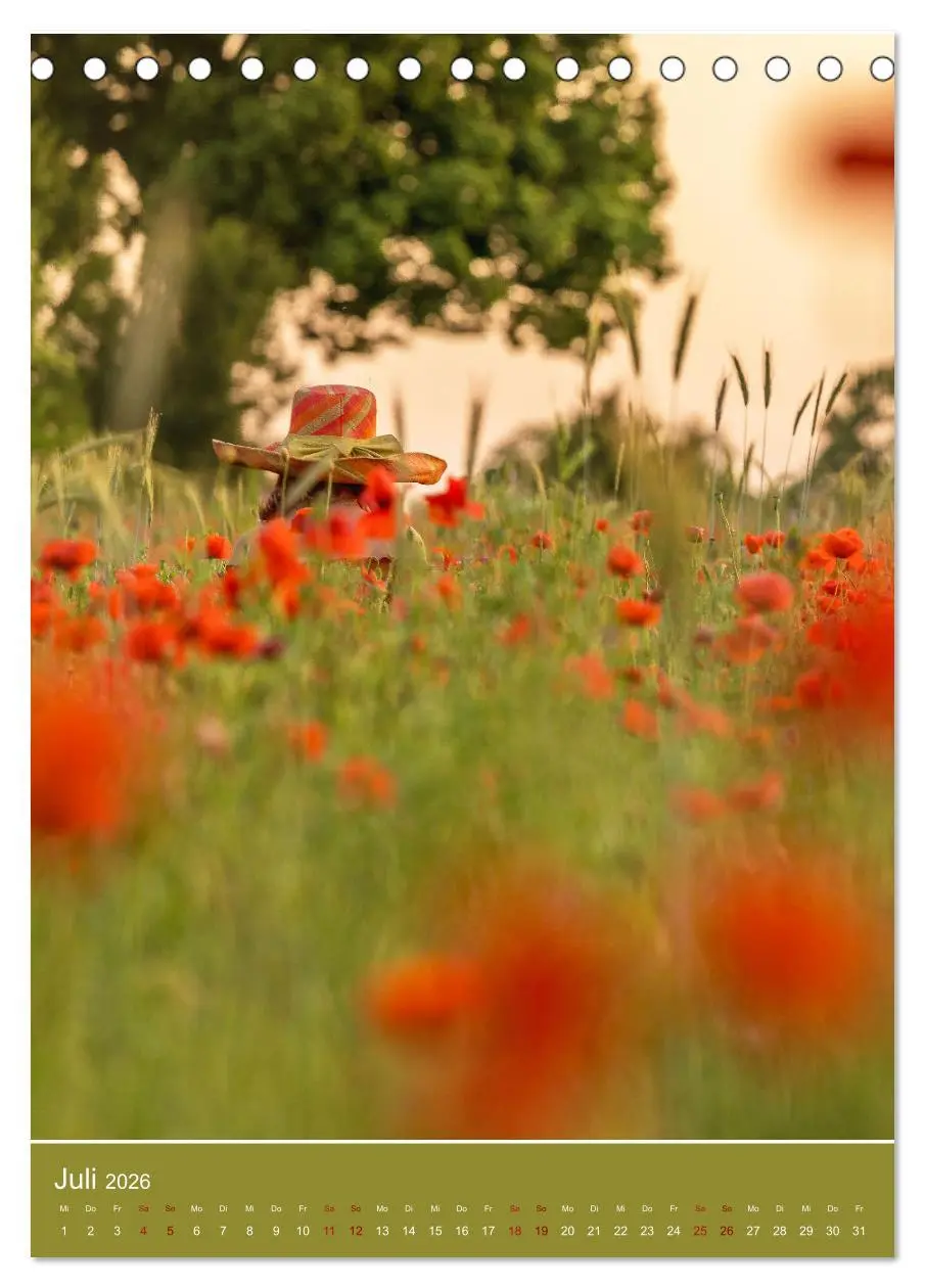 Bild: 9783516360509 | Mohnblumen - kraftvoll und zart (Tischkalender 2026 DIN A5 hoch),...