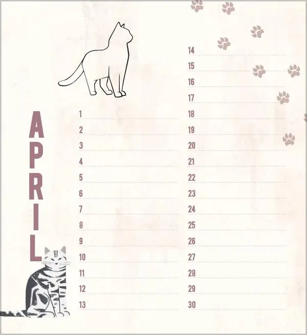 Bild: 9783731880509 | Geburtstagskalender Cats | Verlag Korsch | Kalender | 13 S. | Deutsch