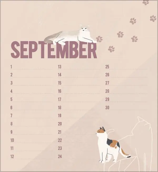 Bild: 9783731880509 | Geburtstagskalender Cats | Verlag Korsch | Kalender | 13 S. | Deutsch
