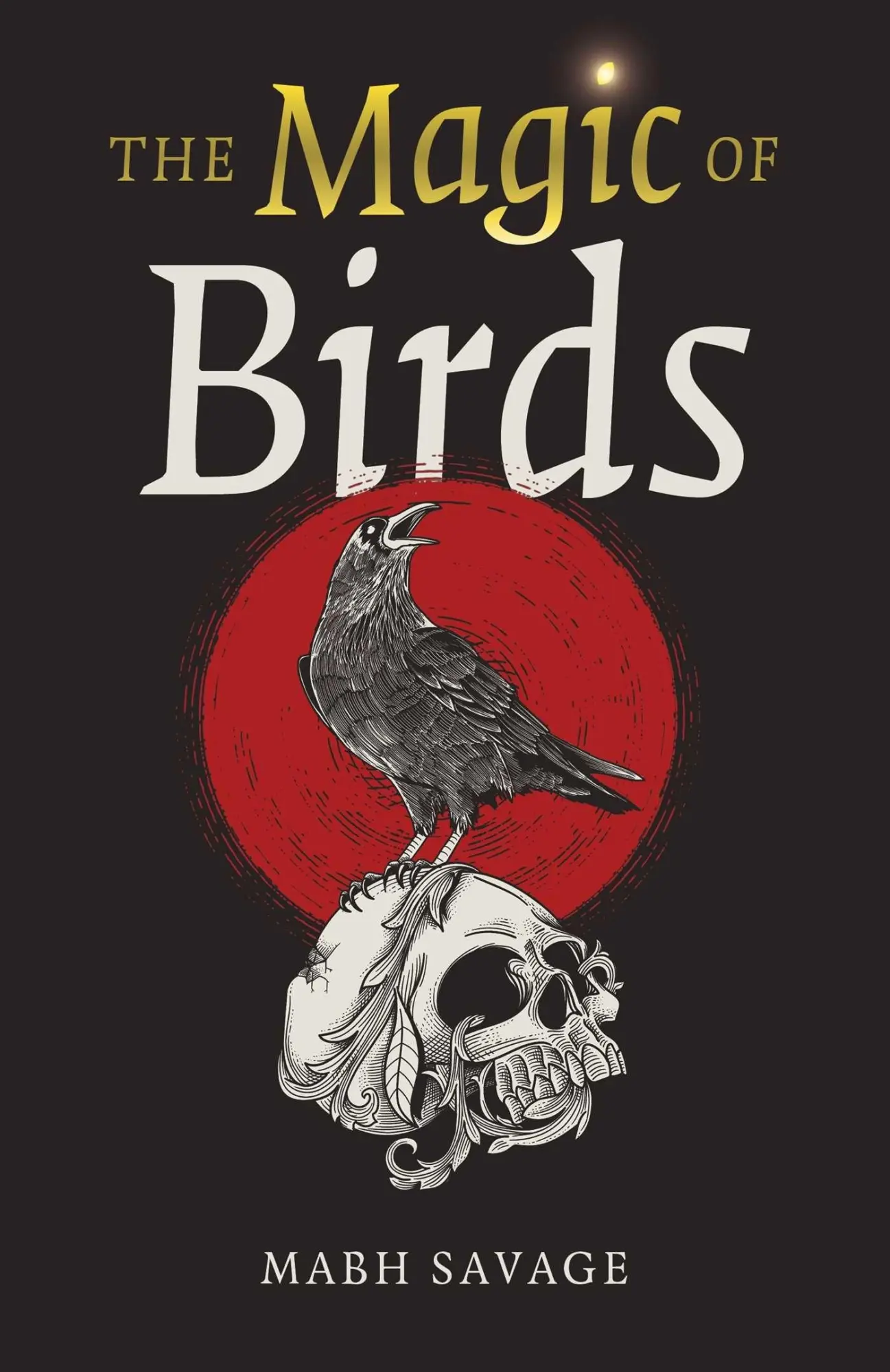 Cover: 9781803410609 | The Magic of Birds | Mabh Savage | Taschenbuch | Englisch | 2026