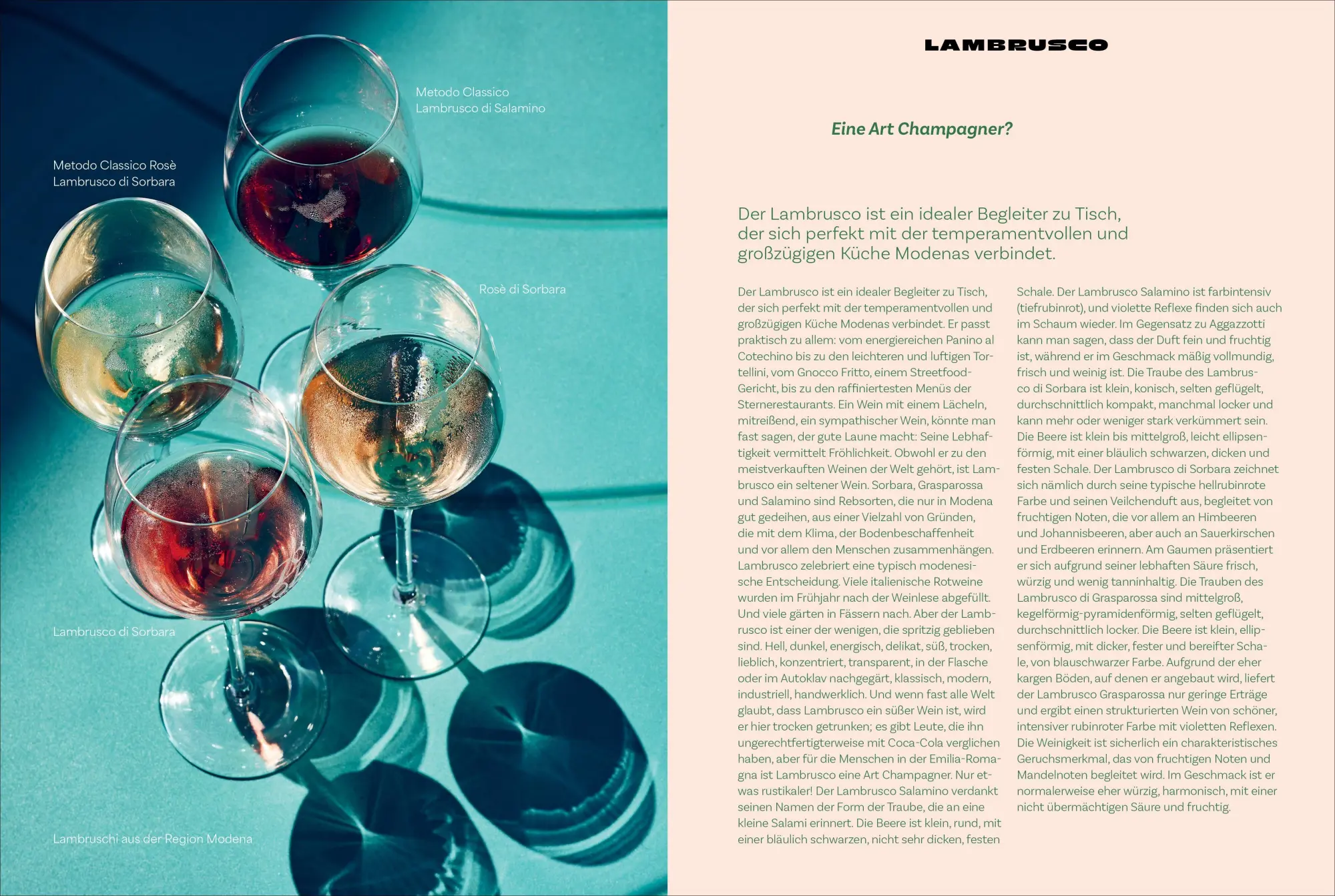 Bild: 9783989510609 | Emilia-Romagna. Il Cuore del Gusto | Ingolf Hatz | Buch | 224 S.