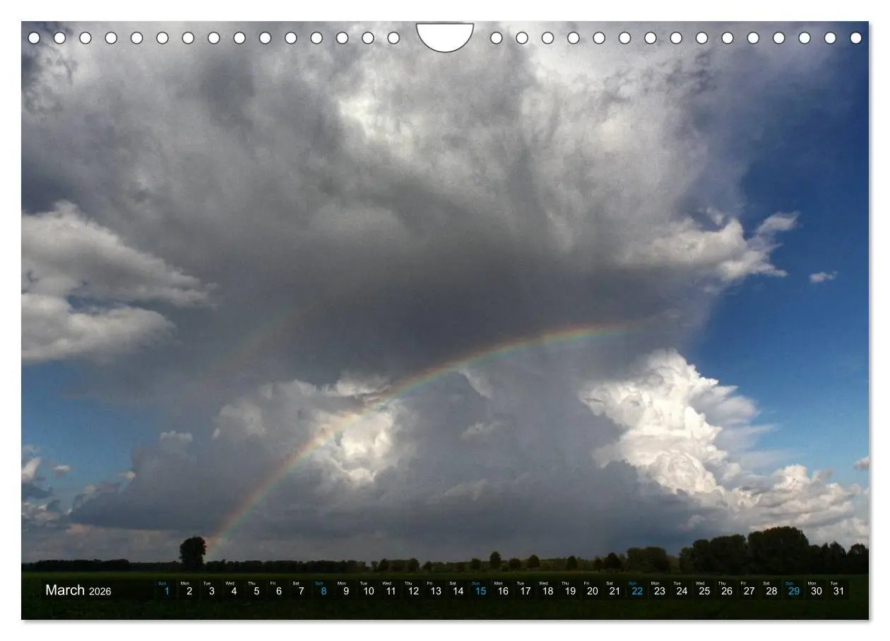 Bild: 9783516580709 | Cloud Appreciation (Wall Calendar 2026 DIN A4 landscape), CALVENDO...