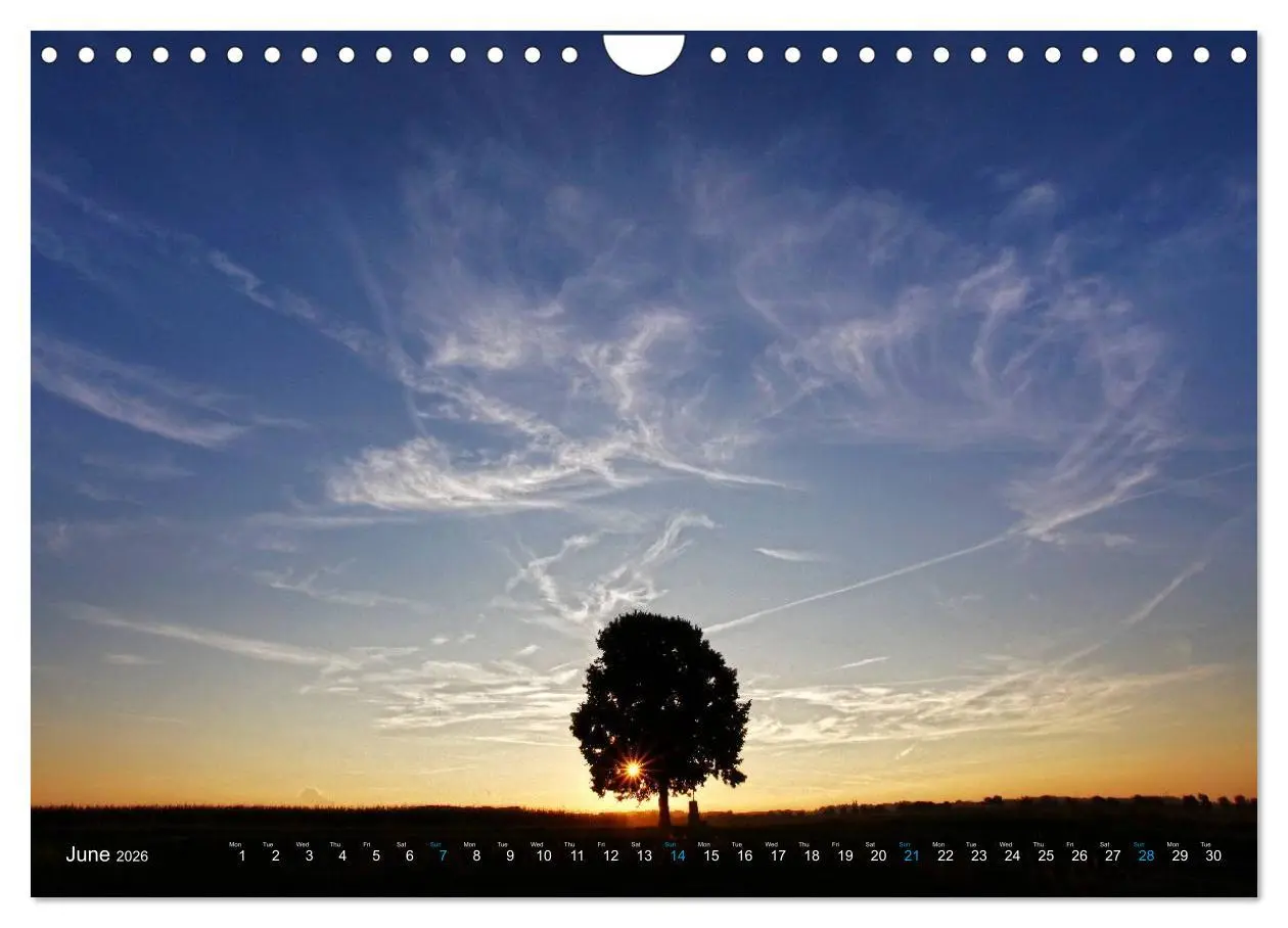 Bild: 9783516580709 | Cloud Appreciation (Wall Calendar 2026 DIN A4 landscape), CALVENDO...