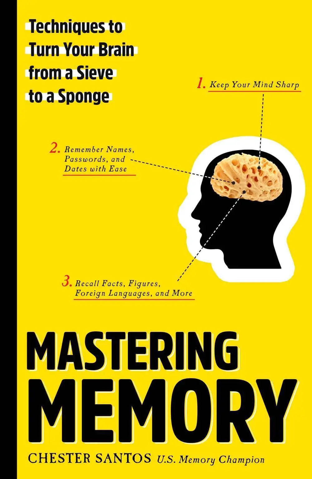 Cover: 9781454920809 | Mastering Memory | Chester Santos | Taschenbuch | Englisch | 2018