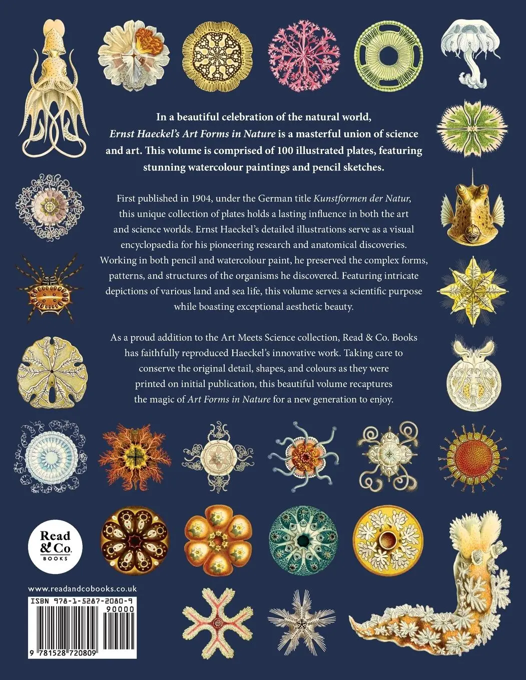 Rückseite: 9781528720809 | Ernst Haeckel's Art Forms in Nature | Ernst Haeckel | Taschenbuch