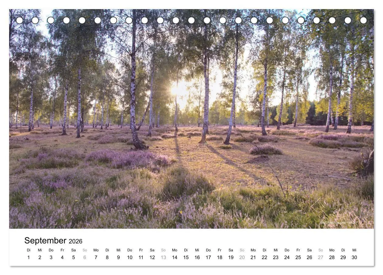Bild: 9783457550809 | Die Lausitz - Landmarken der Nieder- und Oberlausitz (Tischkalender...