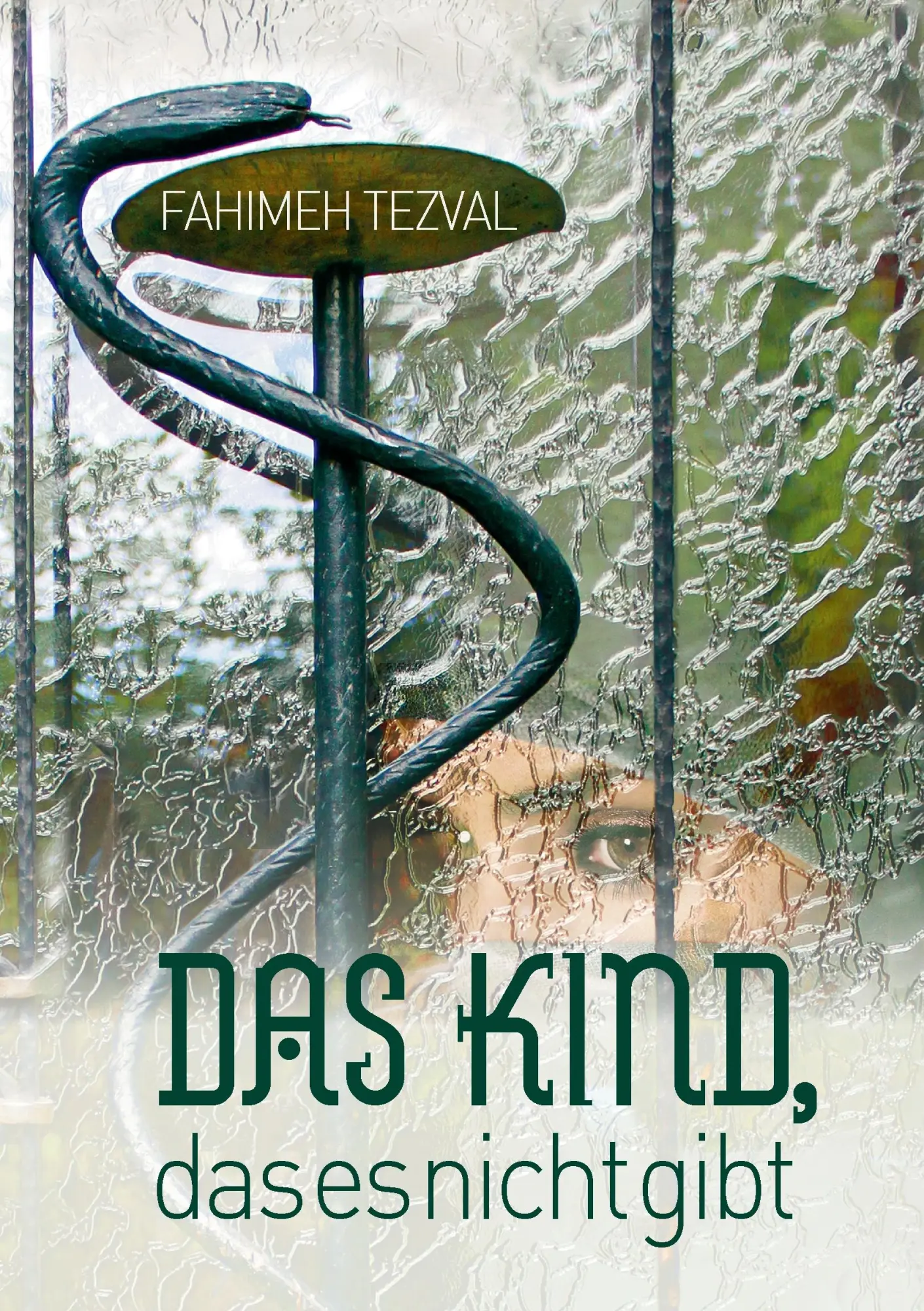 Cover: 9783735730909 | Das Kind, das es nicht gibt | Fahimeh Tezval | Taschenbuch | 96 S.