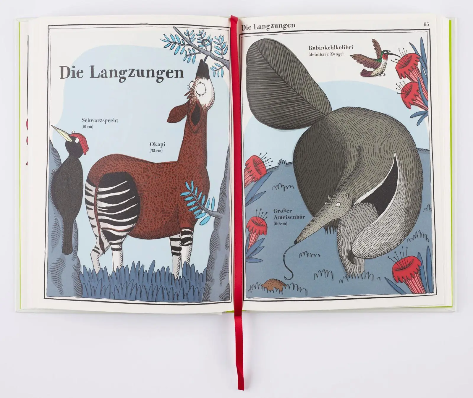 Bild: 9783848900909 | Walross, Spatz und Beutelteufel | Das große Sammelsurium der Tiere