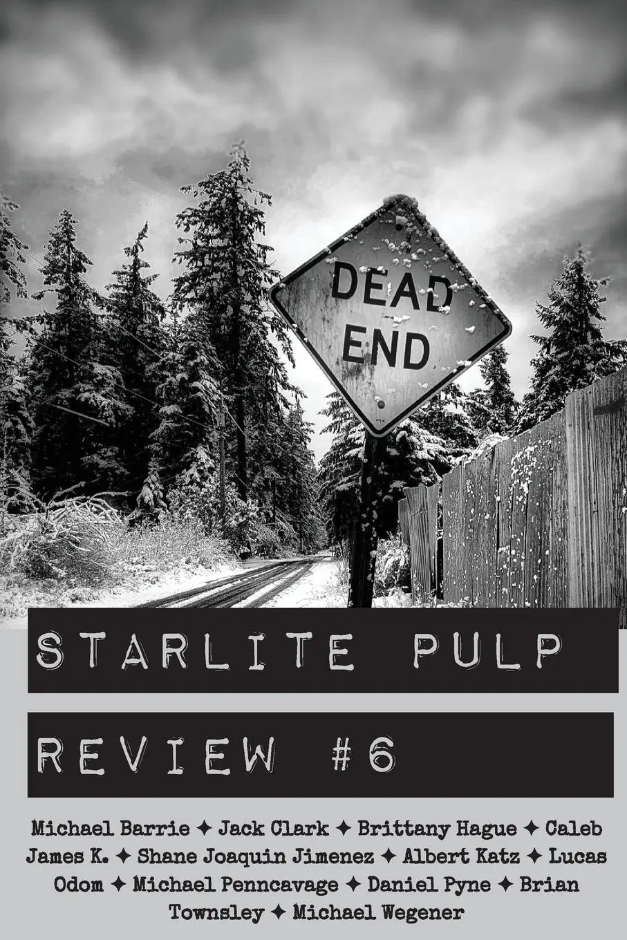 Cover: 9798218680909 | Starlite Pulp Review #6 | Brian Townsley (u. a.) | Taschenbuch | 2025