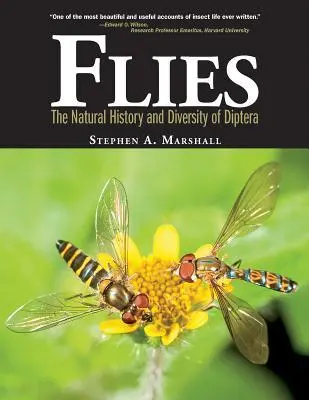 Cover: 9781770851009 | Flies | The Natural History &amp; Diversity of Diptera | Marshall | Buch