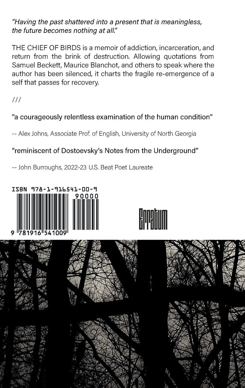 Rückseite: 9781916541009 | The Chief of Birds | A Memoir | Michael Templeton | Taschenbuch | 2023