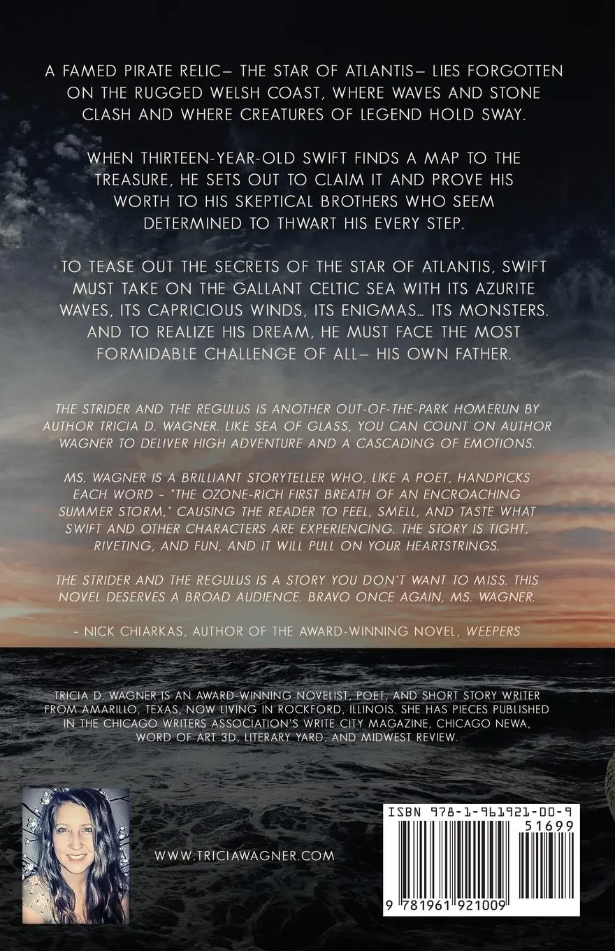 Rückseite: 9781961921009 | The Strider and the Regulus | Tricia D. Wagner | Taschenbuch | 2021