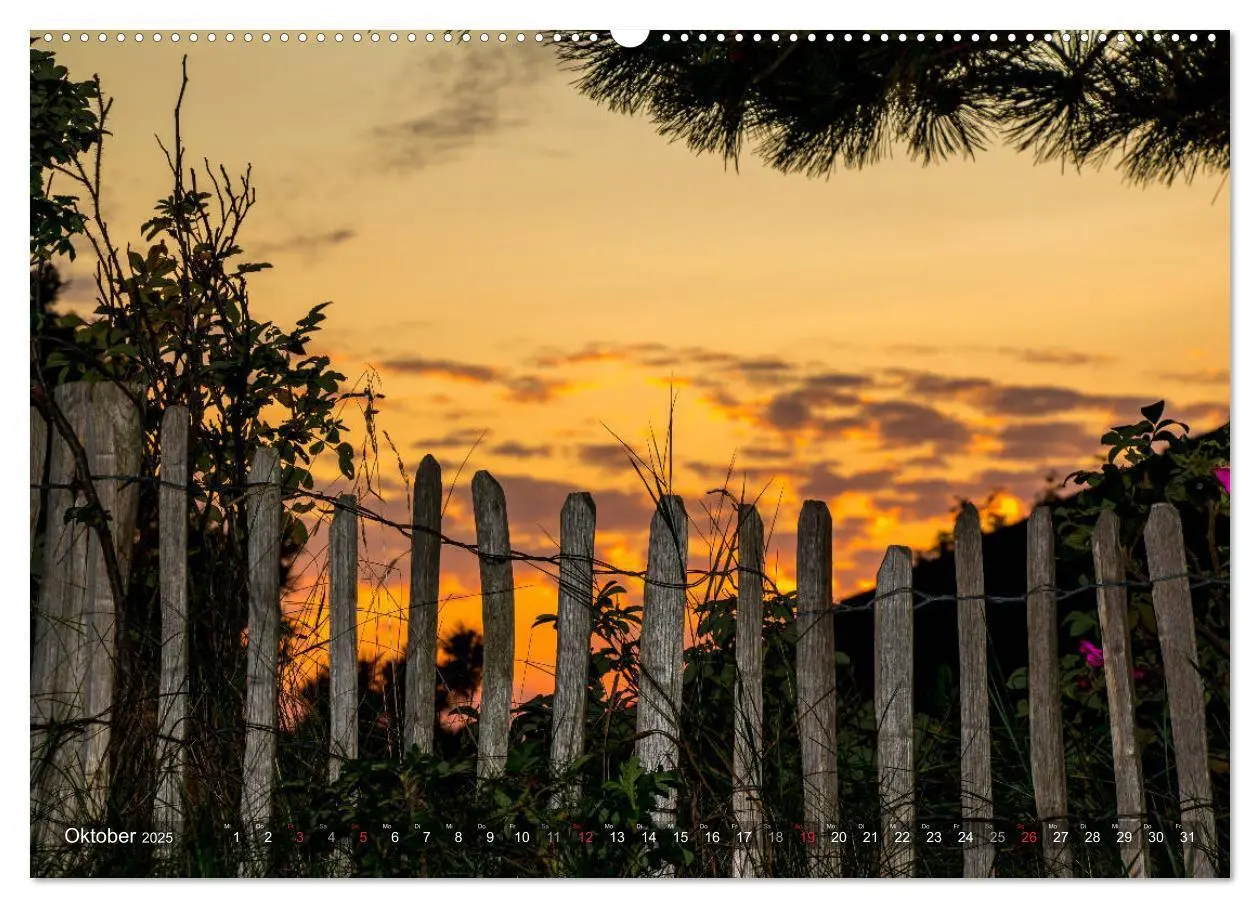 Bild: 9783435271009 | Amrum Insel am Wattenmeer (Wandkalender 2025 DIN A2 quer), CALVENDO...