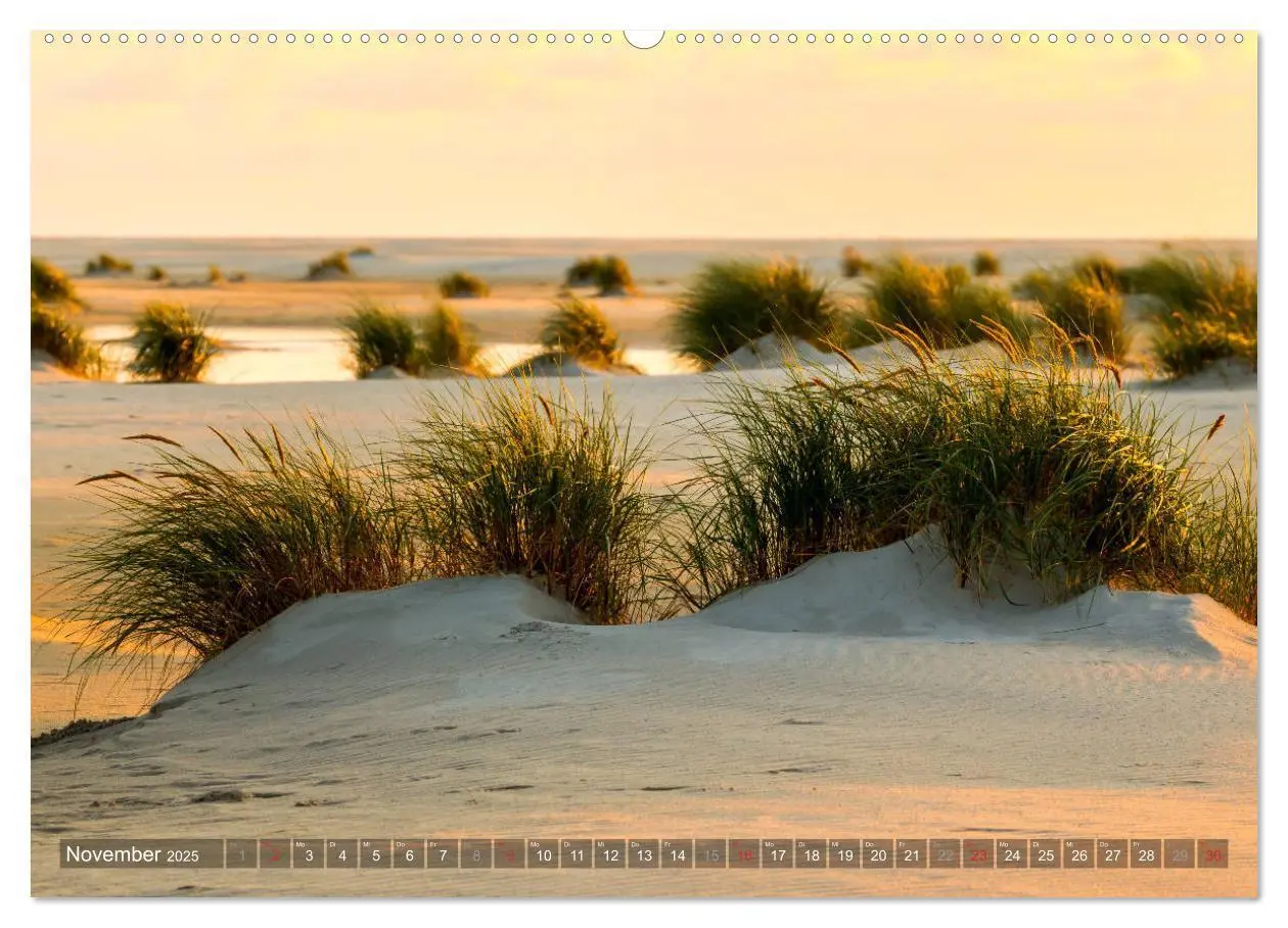 Bild: 9783435271009 | Amrum Insel am Wattenmeer (Wandkalender 2025 DIN A2 quer), CALVENDO...