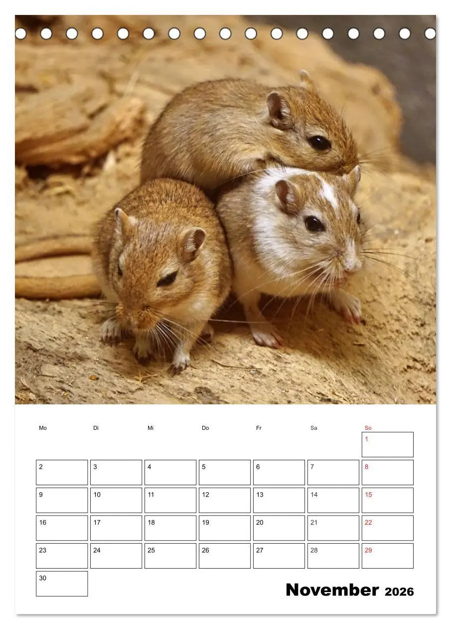 Bild: 9783516381009 | Lustige Rennmäuse (Tischkalender 2026 DIN A5 hoch), CALVENDO...