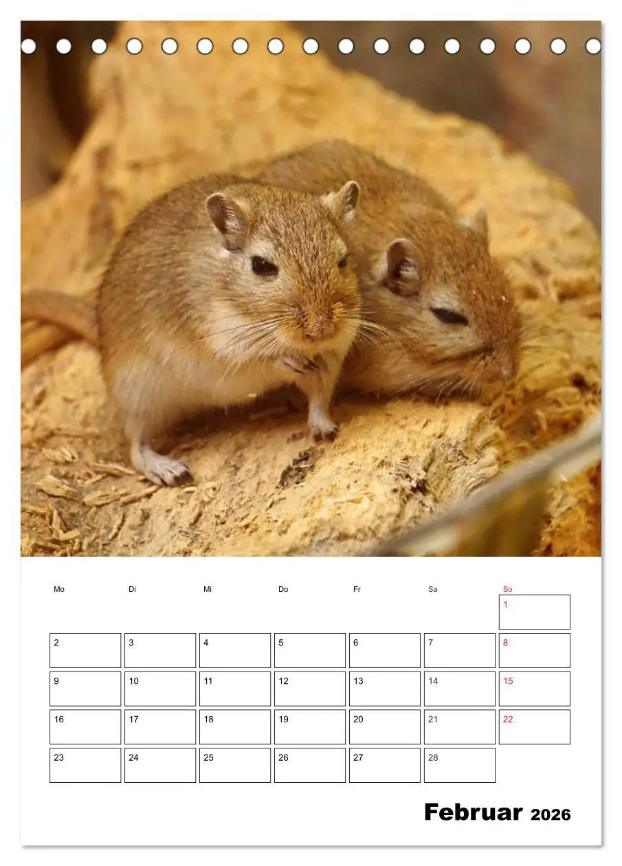 Bild: 9783516381009 | Lustige Rennmäuse (Tischkalender 2026 DIN A5 hoch), CALVENDO...