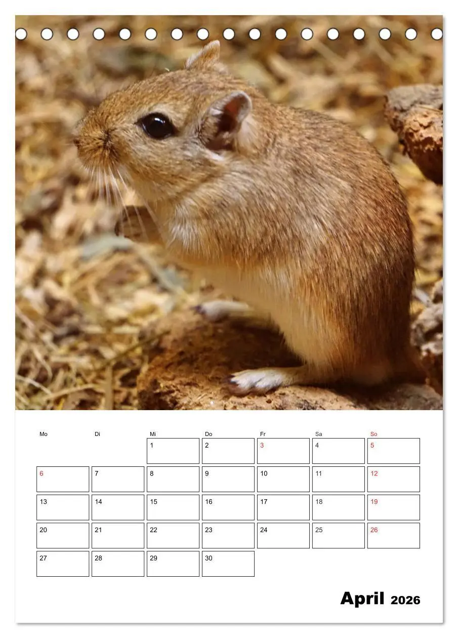 Bild: 9783516381009 | Lustige Rennmäuse (Tischkalender 2026 DIN A5 hoch), CALVENDO...