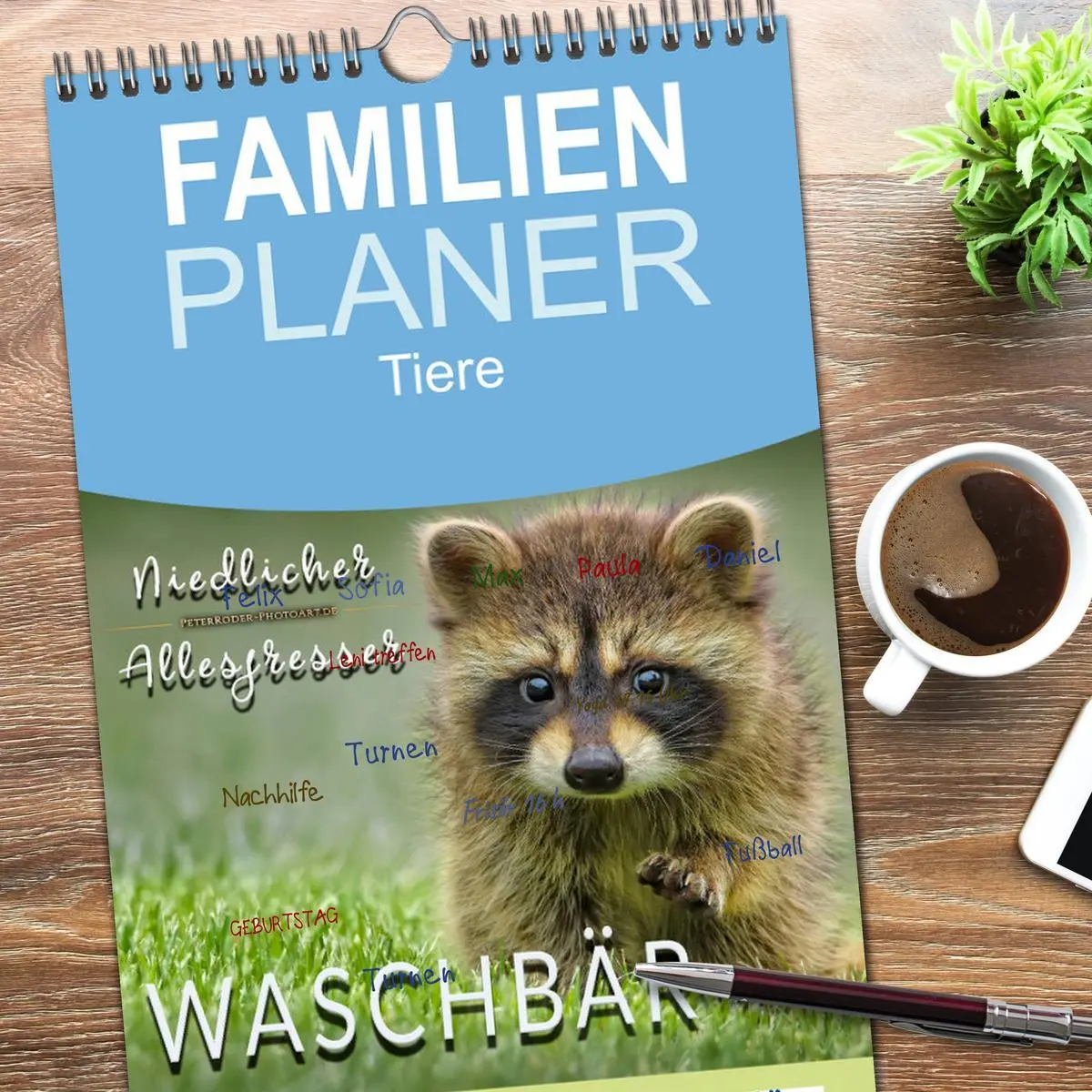 Bild: 9783516521009 | Familienplaner 2026 - Waschbär - Niedlicher Allesfresser mit 5...